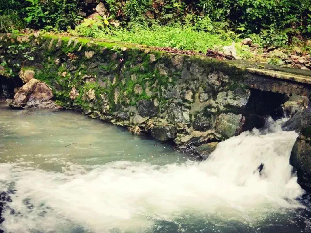 甜蜜糖果岛